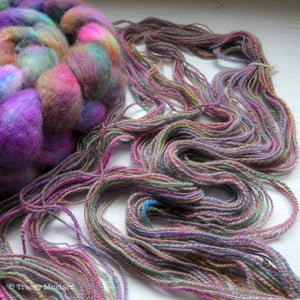 
            
                Load image into Gallery viewer, Fable fibre tops // BFL 100g // RTS
            
        