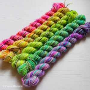 
            
                Load image into Gallery viewer, Grungebow Bundle // 5 x 20g, 50g, and 100g skeins
            
        